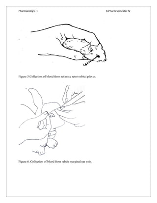 Pharmacology -1 B.Pharm Semester IV
Figure 5.Collection of blood from rat/mice retro orbital plexus.
Figure 6. Collection of blood from rabbit marginal ear vein.
 