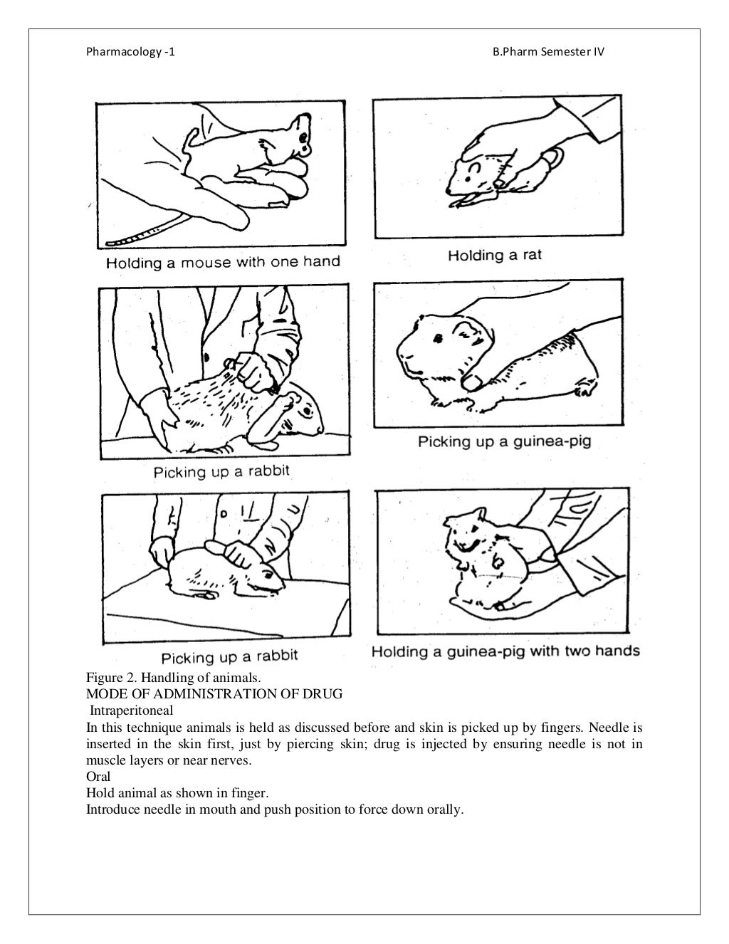 PharmacologyI_sem4_RDP lab manual
