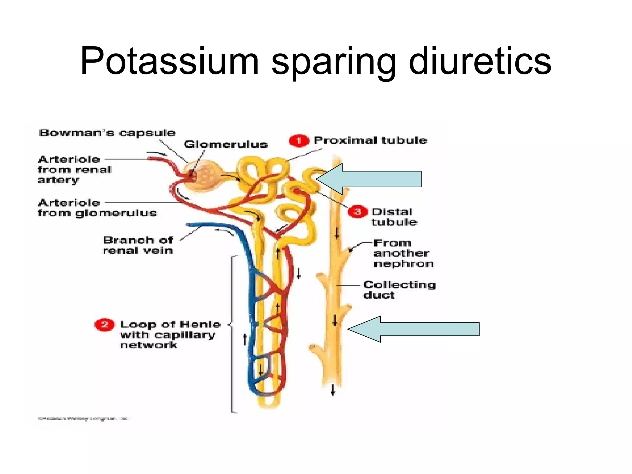 NurseReview.Org Pharmacology - Kidney Drugs | PPT