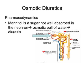 NurseReview.Org Pharmacology - Kidney Drugs | PPT