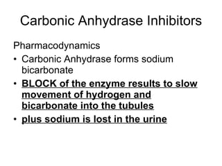 Carbonic Anhydrase Inhibitors <ul><li>Pharmacodynamics </li></ul><ul><li>Carbonic Anhydrase forms sodium bicarbonate </li>...