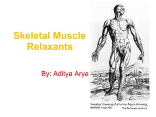 Skeletal Muscle    Relaxants By: Aditya Arya 