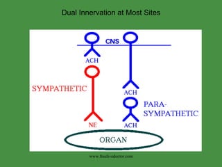 Pharmacology parasympathetic nervous system- in brief | PPT
