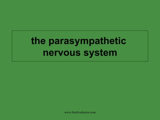 the parasympathetic  nervous system www.freelivedoctor.com 