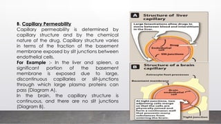 Pharmacology - Pharmacokinetics 1 [Autosaved].pptx