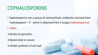 CEPHALOSPORINS
• Cephalosporins are a group of semisynthetic antibiotics derived from
‘cephalosporin – C’ which is obtained from a fungus Cephalosporium.
• MOA :
Similar to penicillin.
Bactericidal in nature
Inhibit synthesis of cell wall
 