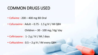 COMMON DRUGS USED
• Cefixime : 200 – 400 mg BD Oral
• Cefuroxime : Adult – 0.75 - 1.5 g IV / IM Q8H
Children – 30 - 100 mg / Kg/ day
• Ceftriaxone : 1- 2 g / IV / IM / days
• Ceftazidime : 0.5 – 2 g IV / IM every Q8H
 