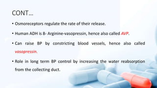 CONT…
• Osmoreceptors regulate the rate of their release.
• Human ADH is 8- Arginine-vasopressin, hence also called AVP.
• Can raise BP by constricting blood vessels, hence also called
vasopressin.
• Role in long term BP control by increasing the water reabsorption
from the collecting duct.
 