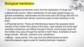 Biological membrane
• The biological membranes which limit the distribution of drugs are:
a.)Blood brain barrier: Allows distribution of only lipid soluble drugs e.g.
general anesthetics, barbiturates into the brain and CSF.Drugs that don’t or
slowly cross blood brain barrier cannot be used to treat infections in the
brain.
b.)Placental barrier: These are Membranous layers that separate blood
vessels of the mother from those of the fetus. Lipid soluble and some lipid
insoluble substances can diffuse through it hence, some drugs meant for
the mother may pass through the barrier to harm fetus. Examples of such
drugs include: steroids, narcotics and, anesthetics.
c.)Blood – testis barrier: This may limit the effectiveness of some
chemotherapeutic agents used for treating testicular neoplasm.
 