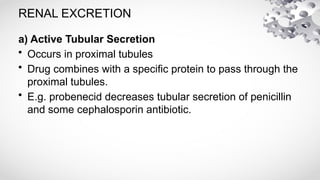 RENAL EXCRETION
a) Active Tubular Secretion
• Occurs in proximal tubules
• Drug combines with a specific protein to pass through the
proximal tubules.
• E.g. probenecid decreases tubular secretion of penicillin
and some cephalosporin antibiotic.
 