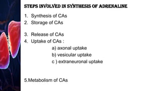 Adrenergic and acetylcholine in autonomic neurohumoral transmission | PPTX