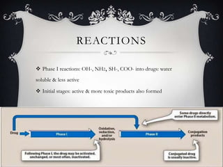 REACTIONS
 Phase I reactions: OH-, NH2, SH-, COO- into drugs: water
soluble & less active
 Initial stages: active & more toxic products also formed

 