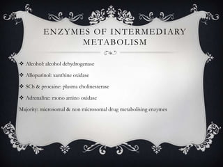 E N Z Y M E S O F I N T E R M E D I A RY
M E TA B O L I S M
 Alcohol: alcohol dehydrogenase
 Allopurinol: xanthine oxidase
 SCh & procaine: plasma cholinesterase
 Adrenaline: mono amino oxidase

Majority: microsomal & non microsomal drug metabolising enzymes

 