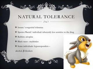 NATURAL TOLERANCE
 Innate/ congenital tolerance
 Species/Racial/ individual: inherently less sensitive to the drug
 Rabbits: atropine

 Black races : mydriatics
 Some individuals: hyporesponders –
alcohol, β-blockers

 