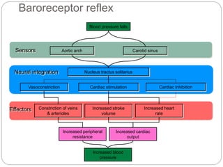 control of blood pressure | PPTX