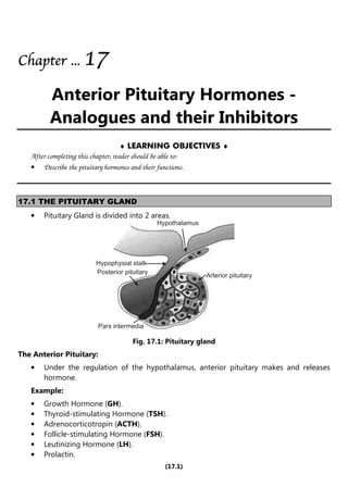 (17.1)
Chapter
Chapter
Chapter
Chapter ...
...
...
... 1
1
1
17
7
7
7
Anterior Pituitary Hormones -
Analogues and their Inhibitors
♦ LEARNING OBJECTIVES ♦
After completing this chapter, reader should be able to:
• Describe the pituitary hormones and their functions.
17.1 THE PITUITARY GLAND
• Pituitary Gland is divided into 2 areas.
Hypothalamus
Hypophysial stalk
Posterior pituitary
Pars intermedia
Arterior pituitary
Fig. 17.1: Pituitary gland
The Anterior Pituitary:
• Under the regulation of the hypothalamus, anterior pituitary makes and releases
hormone.
Example:
• Growth Hormone (GH).
• Thyroid-stimulating Hormone (TSH).
• Adrenocorticotropin (ACTH).
• Follicle-stimulating Hormone (FSH).
• Leutinizing Hormone (LH).
• Prolactin.
 
