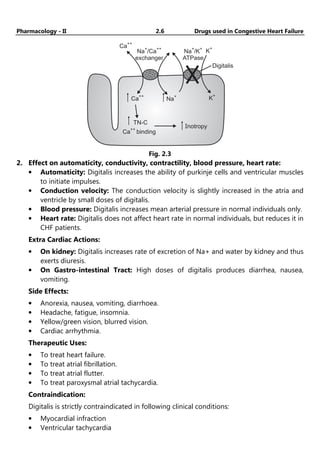 Pharmacology - II 2.6 Drugs used in Congestive Heart Failure
Ca
++
Na /Ca
exchanger
+ ++
Na /K
ATPase
+ +
K
+
K
+
Na
+
Ca
++
Ca binding
++
TN-C
Inotropy
Digitalis
Fig. 2.3
2. Effect on automaticity, conductivity, contractility, blood pressure, heart rate:
• Automaticity: Digitalis increases the ability of purkinje cells and ventricular muscles
to initiate impulses.
• Conduction velocity: The conduction velocity is slightly increased in the atria and
ventricle by small doses of digitalis.
• Blood pressure: Digitalis increases mean arterial pressure in normal individuals only.
• Heart rate: Digitalis does not affect heart rate in normal individuals, but reduces it in
CHF patients.
Extra Cardiac Actions:
• On kidney: Digitalis increases rate of excretion of Na+ and water by kidney and thus
exerts diuresis.
• On Gastro-intestinal Tract: High doses of digitalis produces diarrhea, nausea,
vomiting.
Side Effects:
• Anorexia, nausea, vomiting, diarrhoea.
• Headache, fatigue, insomnia.
• Yellow/green vision, blurred vision.
• Cardiac arrhythmia.
Therapeutic Uses:
• To treat heart failure.
• To treat atrial fibrillation.
• To treat atrial flutter.
• To treat paroxysmal atrial tachycardia.
Contraindication:
Digitalis is strictly contraindicated in following clinical conditions:
• Myocardial infraction
• Ventricular tachycardia
 