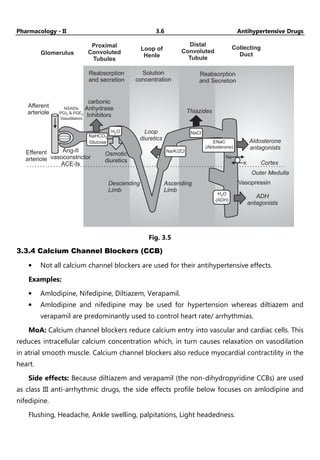Pharmacology - II 3.6 Antihypertensive Drugs
Glomerulus
Proximal
Convoluted
Tubules
Loop of
Henle
Distal
Convoluted
Tubule
Collecting
Duct
Reabsorption
and Secretion
Afferent
arteriole
NSAIDs
PGI & PGE
Vasodilators
2 2
Reabsorption
and secretion
Solution
concentration
carbonic
Anhydrase
Inhibitors
Efferent
arteriole
Ang-II
vasoconstrictor
ACE-Is
Osmotic
diuretics
Thiazides
Loop
diuretics Aldosterone
antagonists
Cortex
Outer Medulla
Vasopressin
ADH
antagonists
Descending
Limb
Ascending
Limb
K
H O
(ADH)
2
NaHCO
Glucose
3
H O
2
Na/K/2Cl
ENaC
(Aldosterone)
NaCl
Na
Fig. 3.5
3.3.4 Calcium Channel Blockers (CCB)
• Not all calcium channel blockers are used for their antihypertensive effects.
Examples:
• Amlodipine, Nifedipine, Diltiazem, Verapamil.
• Amlodipine and nifedipine may be used for hypertension whereas diltiazem and
verapamil are predominantly used to control heart rate/ arrhythmias.
MoA: Calcium channel blockers reduce calcium entry into vascular and cardiac cells. This
reduces intracellular calcium concentration which, in turn causes relaxation on vasodilation
in atrial smooth muscle. Calcium channel blockers also reduce myocardial contractility in the
heart.
Side effects: Because diltiazem and verapamil (the non-dihydropyridine CCBs) are used
as class III anti-arrhythmic drugs, the side effects profile below focuses on amlodipine and
nifedipine.
Flushing, Headache, Ankle swelling, palpitations, Light headedness.
 