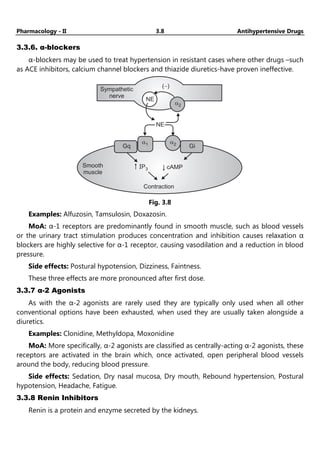 Pharmacology - II 3.8 Antihypertensive Drugs
3.3.6. α-blockers
α-blockers may be used to treat hypertension in resistant cases where other drugs –such
as ACE inhibitors, calcium channel blockers and thiazide diuretics-have proven ineffective.
Sympathetic
nerve
Smooth
muscle
Contraction
cAMP
IP3
NE
( )
-
NE
a2
Gq
a1 a2
Gi
Fig. 3.8
Examples: Alfuzosin, Tamsulosin, Doxazosin.
MoA: α-1 receptors are predominantly found in smooth muscle, such as blood vessels
or the urinary tract stimulation produces concentration and inhibition causes relaxation α
blockers are highly selective for α-1 receptor, causing vasodilation and a reduction in blood
pressure.
Side effects: Postural hypotension, Dizziness, Faintness.
These three effects are more pronounced after first dose.
3.3.7 α-2 Agonists
As with the α-2 agonists are rarely used they are typically only used when all other
conventional options have been exhausted, when used they are usually taken alongside a
diuretics.
Examples: Clonidine, Methyldopa, Moxonidine
MoA: More specifically, α-2 agonists are classified as centrally-acting α-2 agonists, these
receptors are activated in the brain which, once activated, open peripheral blood vessels
around the body, reducing blood pressure.
Side effects: Sedation, Dry nasal mucosa, Dry mouth, Rebound hypertension, Postural
hypotension, Headache, Fatigue.
3.3.8 Renin Inhibitors
Renin is a protein and enzyme secreted by the kidneys.
 