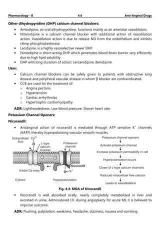 Pharmacology - II 4.6 Anti-Anginal Drugs
Other dihydropyridine (DHP) calcium channel blockers:
• Amlodipine, an oral dihydropyridine, functions mainly as an arteriolar vasodilators.
• Nitrendipine is a calcium channel blocker with additional action of vasodilation
action. Vasodilation action is due to release NO from the endothelium and inhibits
cAmp phosphodiesterase.
• Lacidipine, is a highly vasoselective newer DHP.
• Nimodipine is short-acting DHP which penetrates blood-brain barrier very efficiently
due to high lipid solubility.
• DHP with long duration of action: Lercanidipine, Benidipine.
Uses:
• Calcium channel blockers can be safely given to patients with obstructive lung
disease and peripheral vascular disease in whom β blocker are contraindicated.
• CCB are used for the treatment of:
o Angina pectoris
o Hypertension
o Cardiac arrhythmias
o Hypertrophic cardiomyopathy
ADR: Lightheadedness. Low blood pressure. Slower heart rate.
Potassium Channel Openers:
Nicorandil:
• Antianginal action of nicorandil is mediated through ATP sensitive K+
channels
(KATP) thereby hyperpolarizing vascular smooth muscles.
Extracellular
fluid
Ca
2+
L-type
calcium
channel
Potassium
channel
K
+
Cytosol
Inhibit Ca entry
Nicorandil
Hyperpolarization
- +
Potassium channel openers
Activate potassium channel
Increase potassium permeability in cell
Hyperpolarisation occurs
Closer of L-type calcium channels
Reduced intracellular free calcium
Leads to vasodilatation
Fig. 4.4: MOA of Nicorandil
• Nicorandil is well absorbed orally, nearly completely metabolized in liver and
excreted in urine. Administered I.V. during angioplasty for acute MI, it is believed to
improve outcome.
ADR: Flushing, palpitation, weakness, headache, dizziness, nausea and vomiting.
 