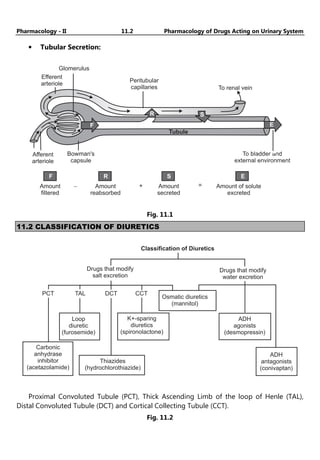 Pharmacology - II 11.2 Pharmacology of Drugs Acting on Urinary System
• Tubular Secretion:
Afferent
arteriole
Bowman's
capsule
Efferent
arteriole
Glomerulus
Peritubular
capillaries To renal vein
Amount
filtered
Amount
reabsorbed
Amount
secreted
Amount of solute
excreted
+
- =
F
R S
E
Tubule
F R S E
Fig. 11.1
11.2 CLASSIFICATION OF DIURETICS
Classification of Diuretics
Drugs that modify
salt excretion
Drugs that modify
water excretion
PCT TAL DCT CCT
Loop
diuretic
(furosemide)
K+-sparing
diuretics
(spironolactone)
Osmatic diuretics
(mannitol)
ADH
agonists
(desmopressin)
ADH
antagonists
(conivaptan)
Carbonic
anhydrase
inhibitor
(acetazolamide)
Thiazides
(hydrochlorothiazide)
Proximal Convoluted Tubule (PCT), Thick Ascending Limb of the loop of Henle (TAL),
Distal Convoluted Tubule (DCT) and Cortical Collecting Tubule (CCT).
Fig. 11.2
 