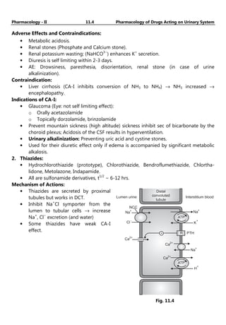 Pharmacology - II 11.4 Pharmacology of Drugs Acting on Urinary System
Adverse Effects and Contraindications:
• Metabolic acidosis.
• Renal stones (Phosphate and Calcium stone).
• Renal potassium wasting; (NaHCO3−
) enhances K+
secretion.
• Diuresis is self limiting within 2-3 days.
• AE: Drowsiness, paresthesia, disorientation, renal stone (in case of urine
alkalinization).
Contraindication:
• Liver cirrhosis (CA-I inhibits conversion of NH3 to NH4) → NH3 increased →
encephalopathy.
Indications of CA-I:
• Glaucoma (Eye: not self limiting effect):
o Orally acetazolamide
o Topically dorzolamide, brinzolamide
• Prevent mountain sickness (high altitude) sickness inhibit sec of bicarbonate by the
choroid plexus; Acidosis of the CSF results in hyperventilation.
• Urinary alkalinization: Preventing uric acid and cystine stones.
• Used for their diuretic effect only if edema is accompanied by significant metabolic
alkalosis.
2. Thiazides:
• Hydrochlorothiazide (prototype), Chlorothiazide, Bendroflumethiazide, Chlortha-
lidone, Metolazone, Indapamide.
• All are sulfonamide derivatives, t1/2
− 6-12 hrs.
Mechanism of Actions:
• Thiazides are secreted by proximal
tubules but works in DCT.
• Inhibit Na+
Cl symporter from the
lumen to tubular cells → increase
Na+
, Cl−
excretion (and water)
• Some thiazides have weak CA-I
effect.
Distal
convoluted
tubule
Lumen urine Interstitium blood
Na
+
Cl
-
NCC
Ca
2+
ATP
K
+
Na
+
Ca
2+
Na
+
R PTH
Ca
2+
H
+
ATP
+
Fig. 11.4
 