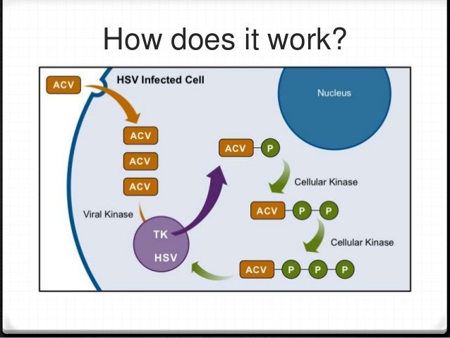 Pharmacology of Ganciclovir, Valganciclovir and Aciclovir Pharmacology of Ganciclovir, Valganciclovir and Aciclovir