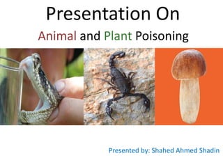 Presentation On
Animal and Plant Poisoning
Presented by: Shahed Ahmed Shadin
 