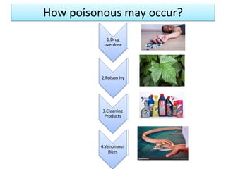 Animal And Plant Poisoning | PPTX