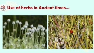 Use of herbs in Ancient times…
 