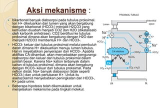 Aksi mekanisme :
 bikarbonat banyak diabsorpsi pada tubulus proksimal.
Ion H+ dikeluarkan dari lumen yang akan bergabung
dengan bikarbonat (HCO3-) menjadi H2CO3 yang
kemudian diuabah menjadi CO2 dan H2O (dikatalisator
oleh karbonik anhidrase). CO2 berdifusi ke tubulus
proksimal dimana akan bergabung dengan H2O dan
menjadi H2CO3 membentuk H+ dan HCO3-.
 HCO3- keluar dari tubulus proksimal melalui pembuluh
darah dimana H+ dikeluarkan menuju lumen tubulus.
Hal ini meyebabkan penyerapan dari HCO3-. Apabila
aktifitas CA dihambat, akan menyebabkan pengurangan
reabsorpsi dan keluar dari tubulus proksimal dalam
jumlah besar. Karena Na+ kation terbanyak dalam
cairan di tubulus proksimal, dimana akan bergabung
dengan HCO3- keluar dari tubulus proksimal. Pada
nefron distal, Na+ banyak diabsorpsi (tidak seperti
HCO3-) dan untuk pertukaran K+. Untuk itu
asetazolamid menyebabkan peningkatan dari HCO3-,
K+ pada urine.
 Beberapa hipotesis telah dikemukakan untuk
menjelaskan mekanisme pada tingkat molekul.
 