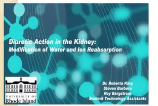Diuretic pharmacology