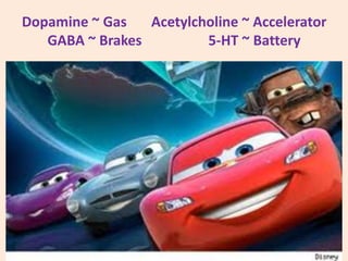 Dopamine ~ Gas Acetylcholine ~ Accelerator
GABA ~ Brakes 5-HT ~ Battery
 