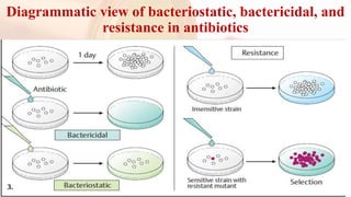 Pharmacology II Chapter 1 ppt -.pptx