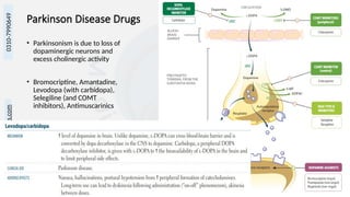 info@medicoseacademics.com
0310-7990649
Dr. Sidra Arshad, Asst. Prof. Physiology 14
Parkinson Disease Drugs
• Parkinsonism is due to loss of
dopaminergic neurons and
excess cholinergic activity
• Bromocriptine, Amantadine,
Levodopa (with carbidopa),
Selegiline (and COMT
inhibitors), Antimuscarinics
 
