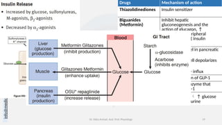 info@medicoseacademics.com
0310-7990649
Dr. Sidra Arshad, Asst. Prof. Physiology 19
Drugs Mechanism of action
Thiazolidinediones Insulin sensitizer
Biguanides
(Metformin)
Inhibit hepatic
gluconeogenesis and the
action of glucagon, ↑
glycolysis, ↑ peripheral
glucose uptake ( insulin
sensitivity)
Sulfonylureas Close K+ channel in pancreatic
β cell
membrane cell depolarizes
 insulin
release via Ca2+ influx
Incretin drugs Mimic the action of GLP-1
DPP 4 inhibitors Inhibit DPP-4 enzyme that
deactivates GLP-1
Gliflozins SGLT2 inhibitor  ↑ glucose
excreted in the urine
 