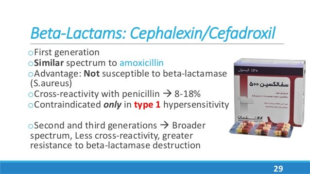 Cephalexin Oral Bioavailability