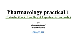 Pharmacology practical 1
( Introduction & Handling of Experimental Animals )
By :
Osama Al-Zahrani
Amjad Al-Zahrani
@OSAMA_Z96
 