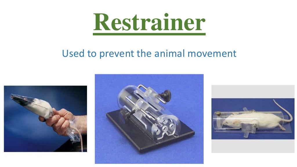 Pharmacology (introduction and handling of experimental animals)