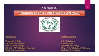 A Seminar on,
PHARMACOLOGY LABORATORY ANIMALS
Presented by,
Mr. Abhijit. R. Rode
F. Y. M. Pharm (Roll No. 12)
Dept of Pharmacology,
DR. V . V . P. F’s College of Pharmacy,
Vilad ghat, Ahmednagar.
Under Guidance of,
Dr. P. M. Gaikwad
M. Pharm. PhD.
Dept of Pharmacology,
DR. V . V . P. F’s College of Pharmacy,
Vilad ghat, Ahmednagar.
1
 