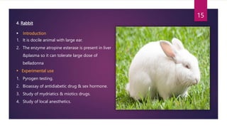 Pharmacology Laboratory Animals.pptx
