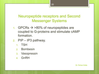 20

Neuropeptide receptors and Second
Messenger Systems
1.

2.

GPCRs  >80% of neuropeptides are
coupled to G-proteins and stimulate cAMP
formation.
PIP – IP3 pathway.
1.
2.
3.
4.

TSH
Bombesin
Vasopressin
GnRH
Dr. Rohan Kolla

 