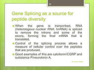 35

Gene Splicing as a source for
peptide diversity
 When

the gene is transcribed, RNA
(heterologous nuclear RNA; hnRNA) is spliced
to remove the introns and some of the
exons, forming the final mRNA that is
translated.
 Control of the splicing process allows a
measure of cellular control over the peptides
that are produced.
 Good examples of this are calcitonin/CGRP and
substance P/neurokinin A.
Dr. Rohan Kolla

 