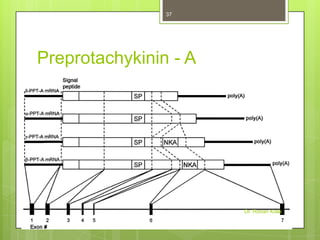 37

Preprotachykinin - A

Dr. Rohan Kolla

 