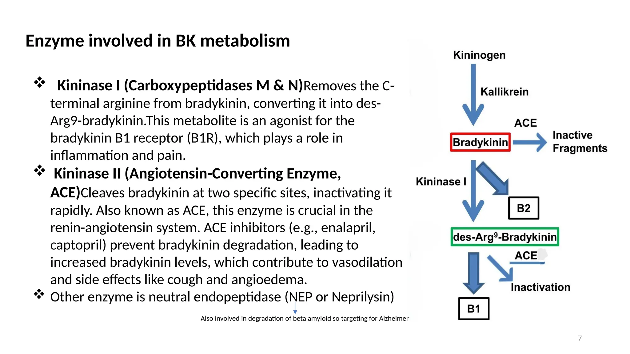 Pharmacology of bradykinin ppt. | PPTX