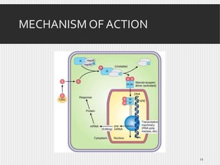 MECHANISM OF ACTION

11

 