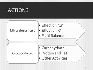 ACTIONS
• Effect on Na+
Mineralocorticoid • Effect on K+
• Fluid Balance

Glucocorticoid

• Carbohydrate
• Protein and Fat
• Other Activities
12

 