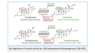 Fig: Regulation of steroid activity by 11β-hydroxysteroid dehydrogenase (11β-HSD).
19
 