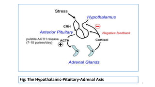 Fig: The Hypothalamic-Pituitary-Adrenal Axis
2
 