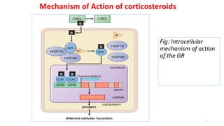 Mechanism of Action of corticosteroids
Fig: Intracellular
mechanism of action
of the GR
5
 